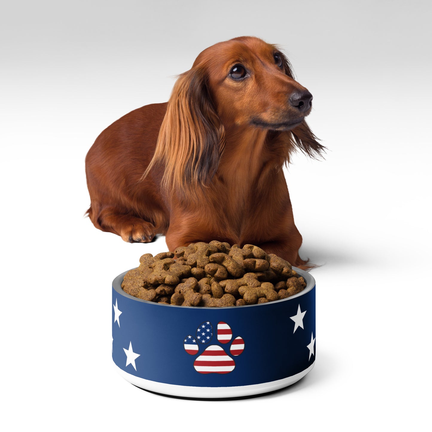 LIMITED EDITION | Paw-some Stainless Steel Pet Bowl