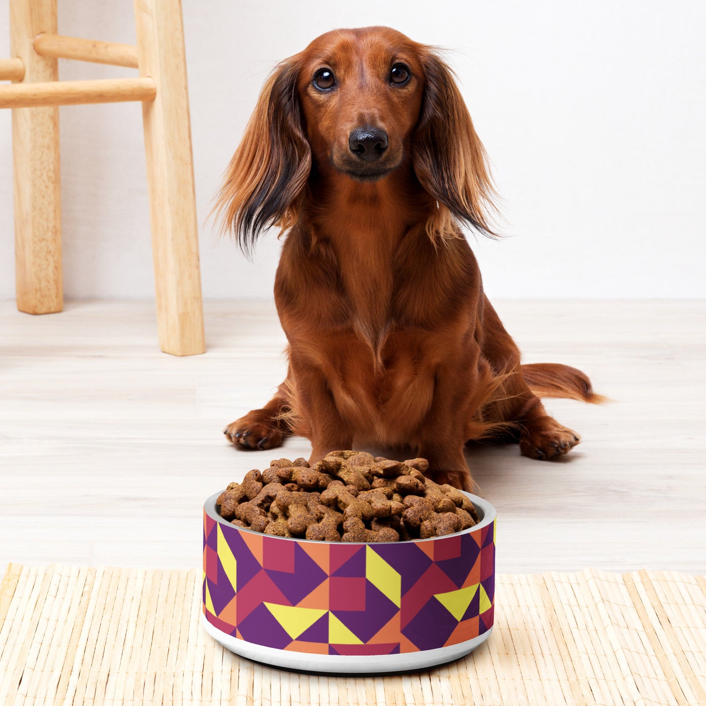 Paw-some Stainless Steel Pet Bowl | Geometric