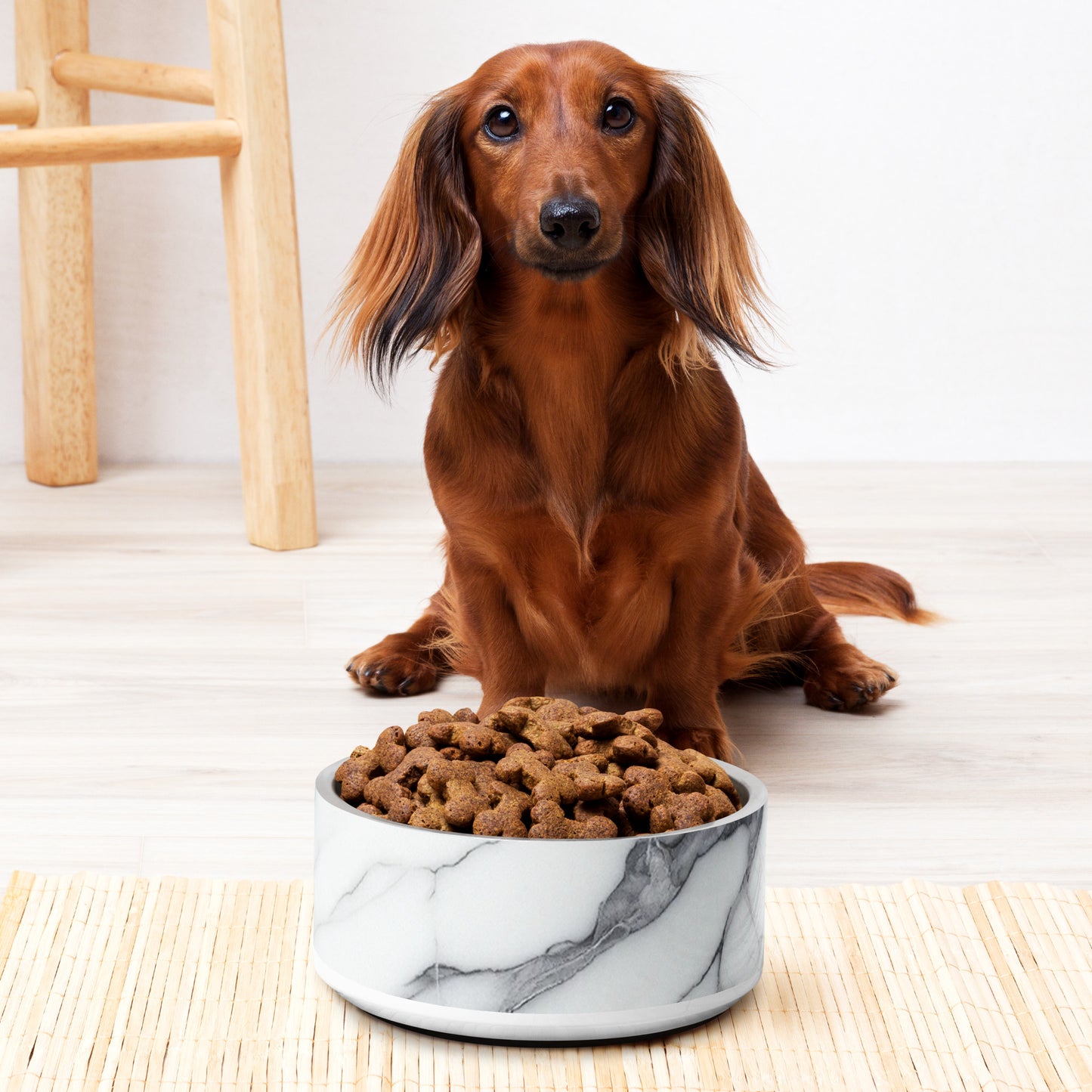 Paw-some Stainless Steel Pet Bowl | Marble