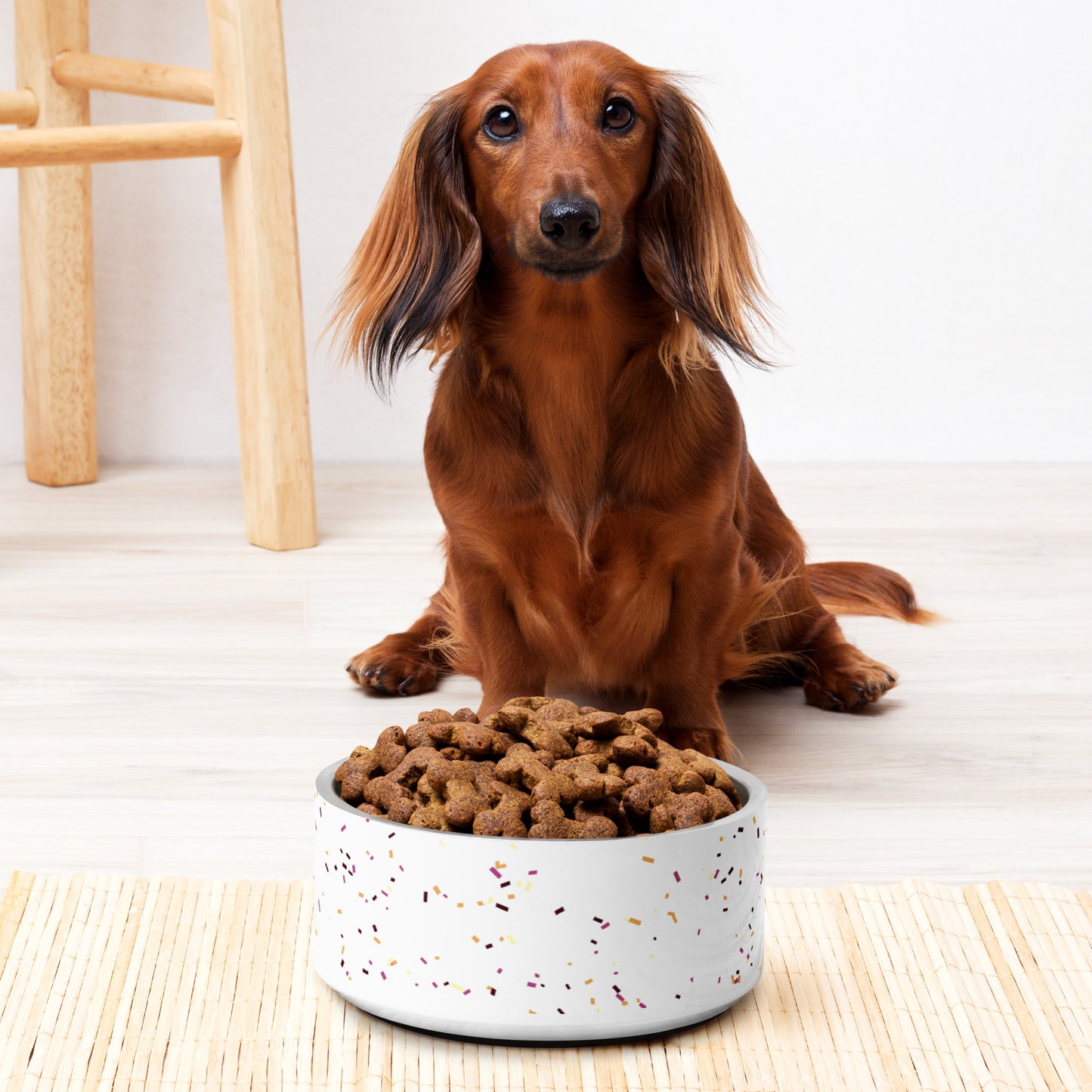 Paw-some Stainless Steel Pet Bowl | Confetti